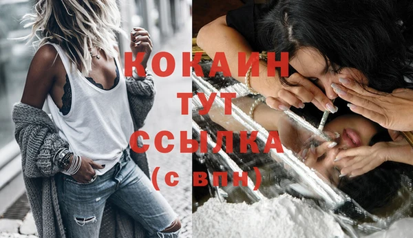 винт Абаза