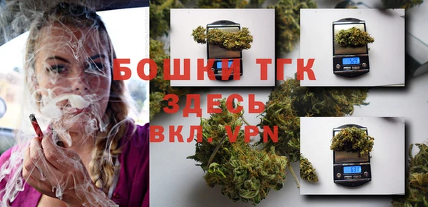 винт Абаза