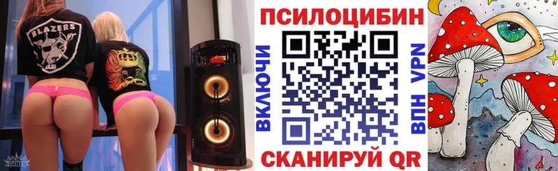 Псилоцибиновые грибы Cubensis  гидра как войти  Котельнич 
