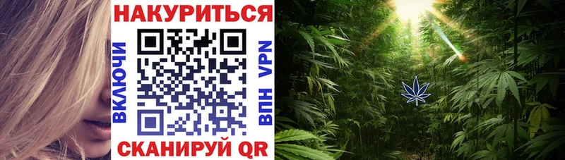 Марихуана план  наркошоп  mega ТОР  Котельнич 